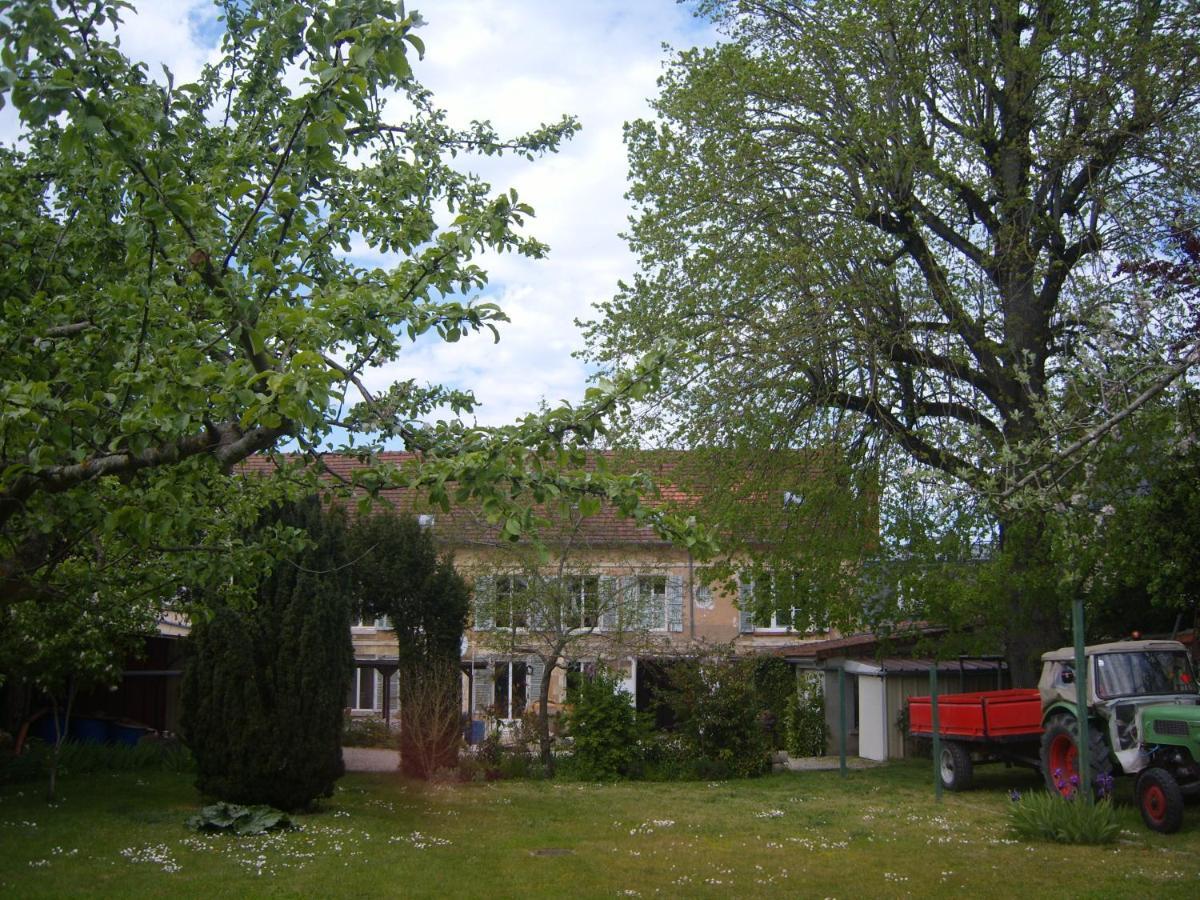 Gite Du Vieux Tilleul Fère-en-Tardenois Esterno foto