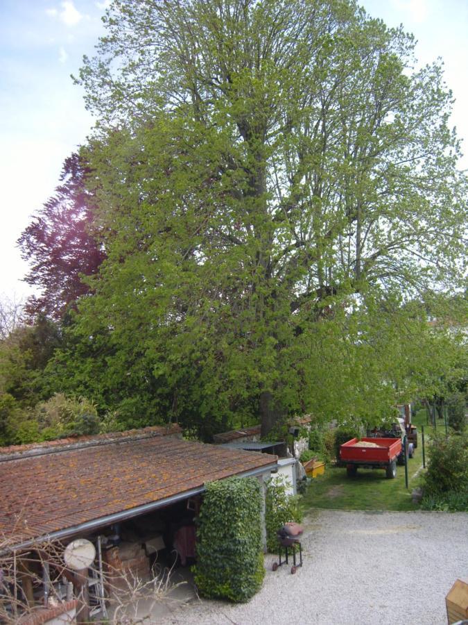 Gite Du Vieux Tilleul Fère-en-Tardenois Esterno foto
